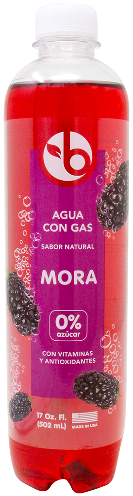 Bravo Sparkling Black Berry17 OZ