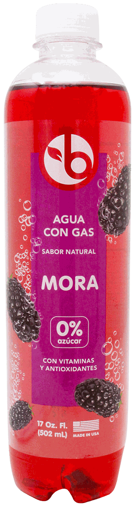Bravo Raspberry Agua Gasificada Sabor Black Raspberry Food Club 17 OZ - Precio en RD ...
