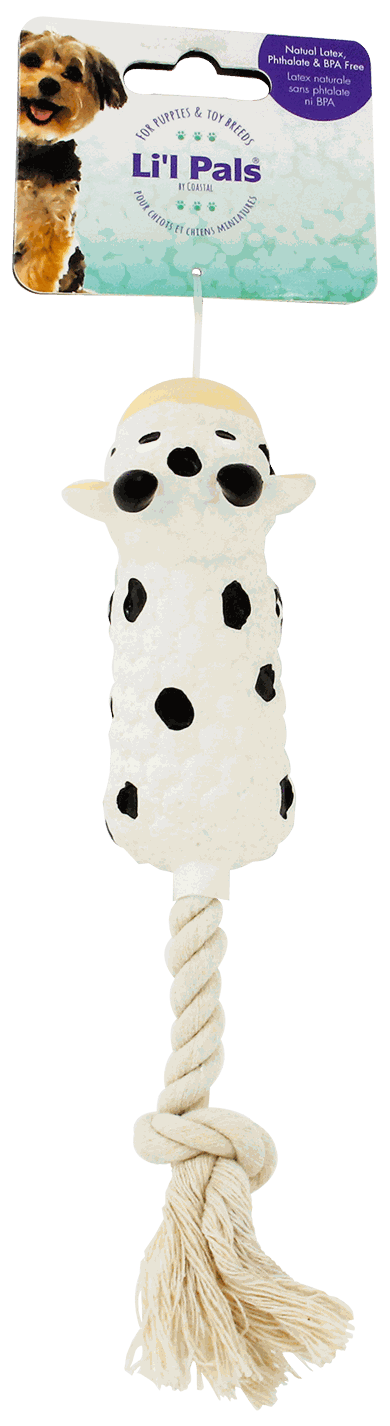 COASTAL JUGUETE VACA