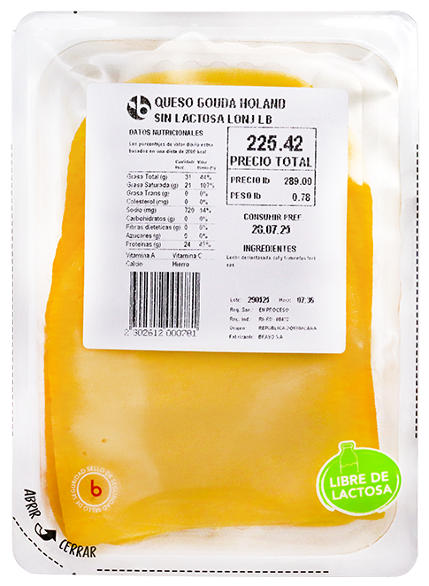 Queso Gouda Holand Sin Lactosa LonjLB