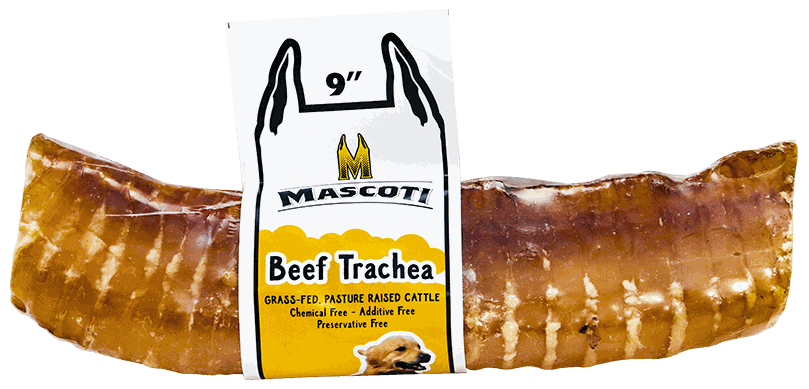 MASCOTI TRÁQUEA DE 9 PULGADAS P/PERROS