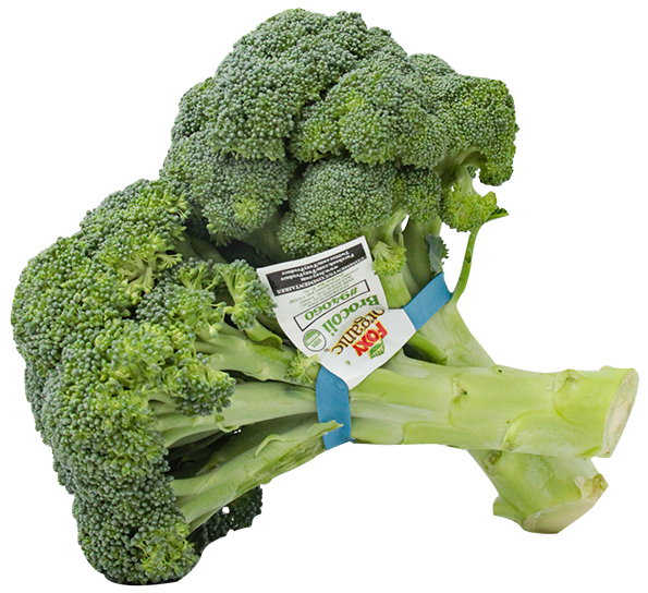 Brocoli Org ImpUND