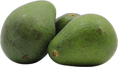 AGUACATE UND