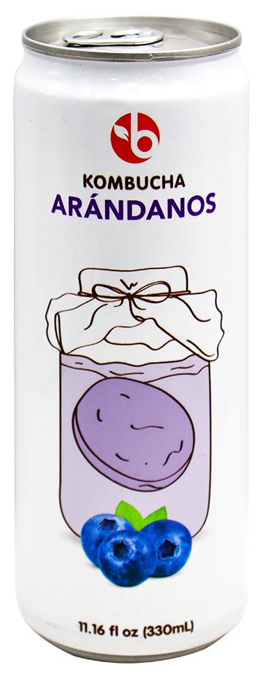 BRAVO KOMBUCHA ARANDANOS 330 ML