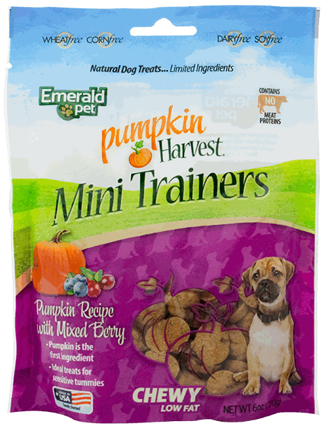 EMERALD PET TREAT PUMPKI HARVES 6OZ SURT