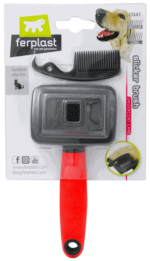 CEPILLO PERRO (SMALL , SLICKER)