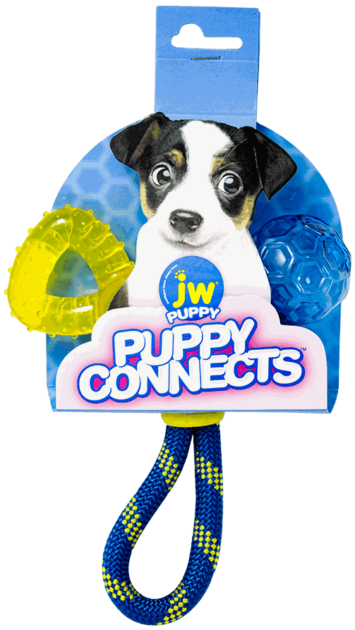 CENTRAL JW PET PUPPY CONNECTS JGTE PERRO