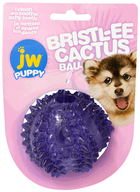 CENT JW PUPY BRISTLE CACT BALL JGT PERRO