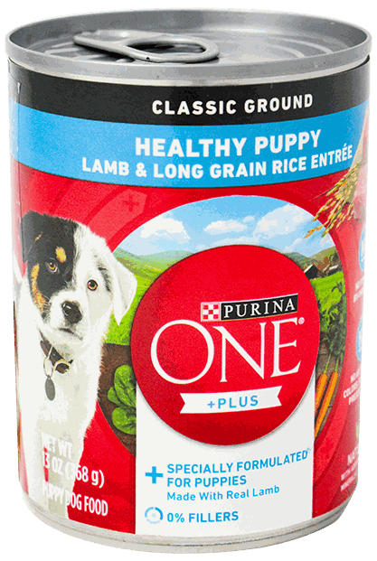 PURINA ONE LAMB & LONG GRAIN RICE 13 OZ