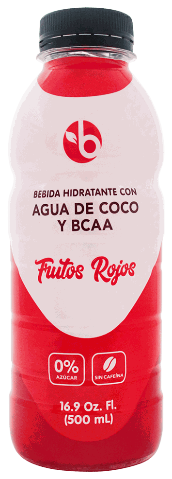 BRAVO BEBIDA HIDRA BCAA FRUITPU 500 ML