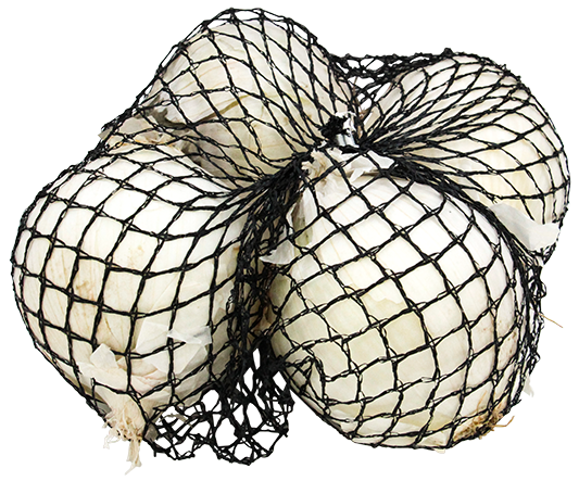 Cebolla Blanca Org4 UND