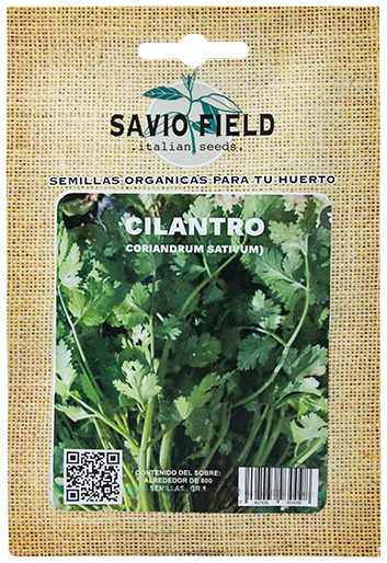 SAVIO FIELD CILANTRO