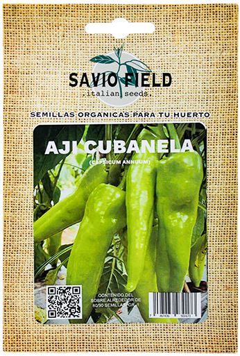 SAVIO FIELD AJI CUBANELA
