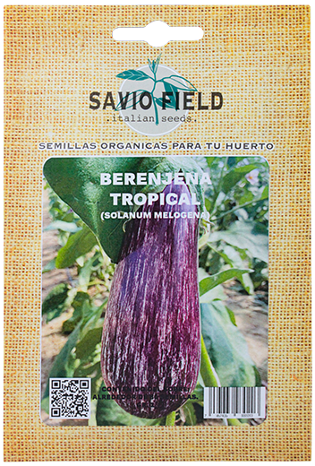 Savio Field Berenjena TropicalPAQ