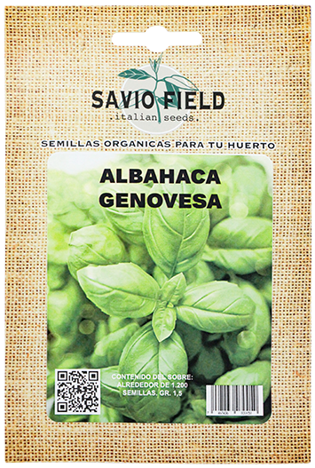 SAVIO FIELD ALBAHACA GENOVESA