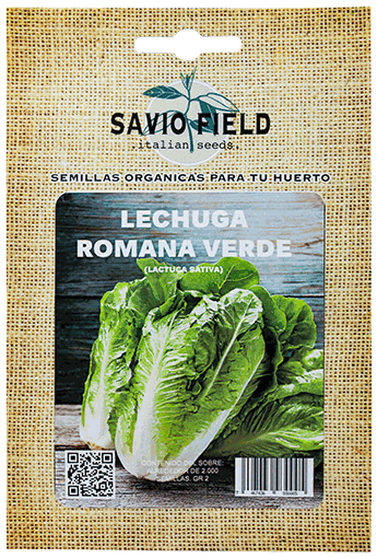 SAVIO FIELD LECHUGA ROMANA VERDE