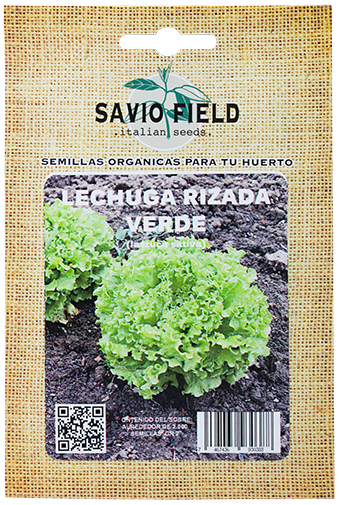 Savio Field Lechuga Rizada VerdePAQ
