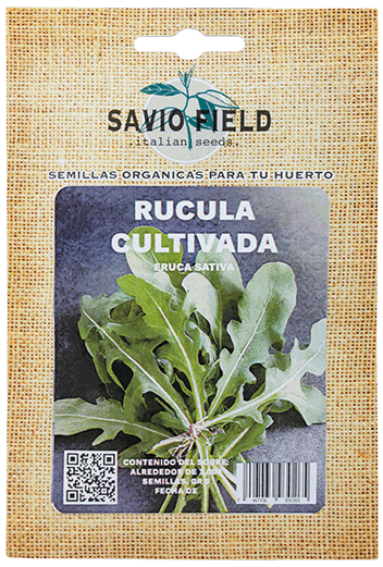SAVIO FIELD RUCULA COLTIVADA