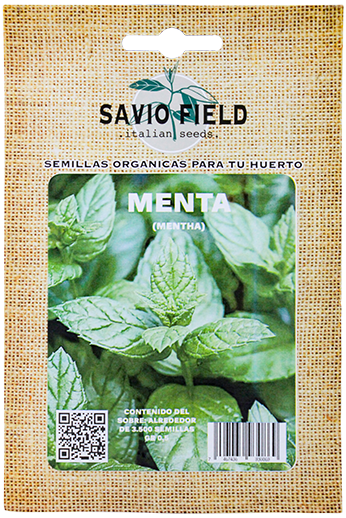 SAVIO FIELD MENTA