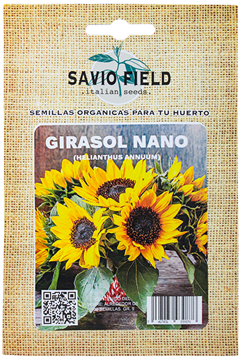 Savio Field GirasolPAQ