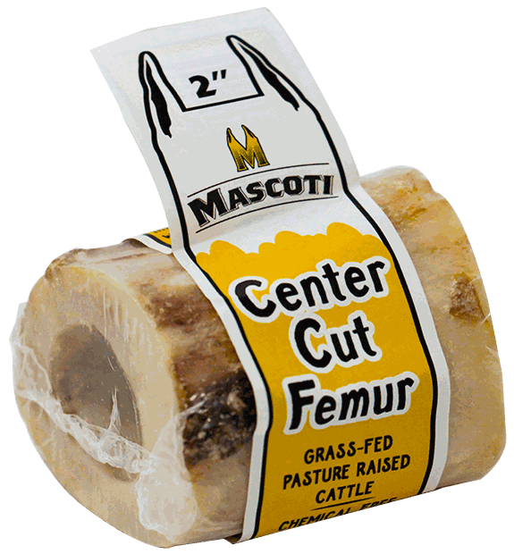 MASCOTI CENTER CUT FEMUR 2