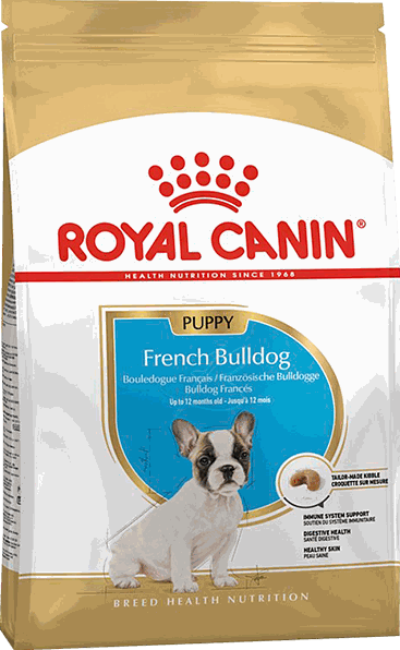 FRENCH BULL JUNIOR 3KG - ROYAL CANIN