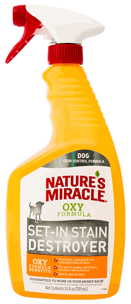 NAT MIRACLE SET-IN STAIN DEST DOG 24OZ