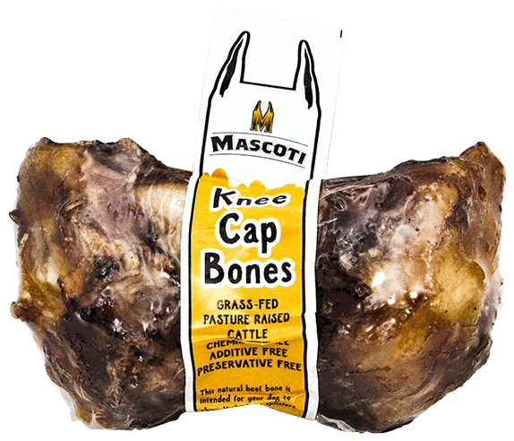 MASCOTI KNEE CAP BONES RES X 2