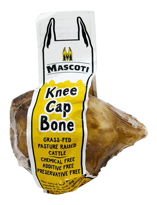 MASCOTI KNEE CAP BONES RES X 1
