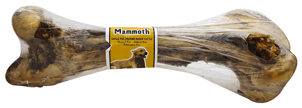 MASCOTI BONE MAMMOUTH WHOLE