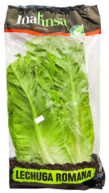 Lechuga Romana HidropónicaUND