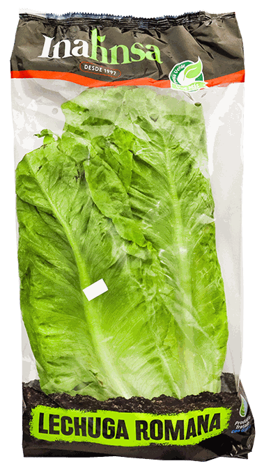 Lechuga en RD » Precios en Bravo, Nacional, Sirena y más