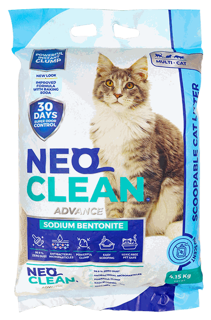 NEO CLEAN ARENA PARA GATO 4.15 KG S/O