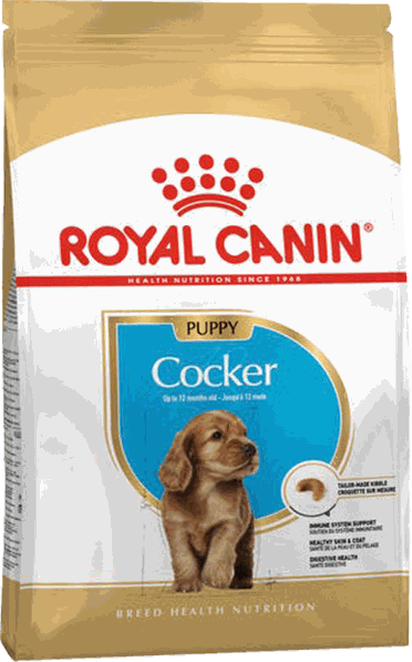 COCKER JUNIOR 3KG - ROYAL CANIN