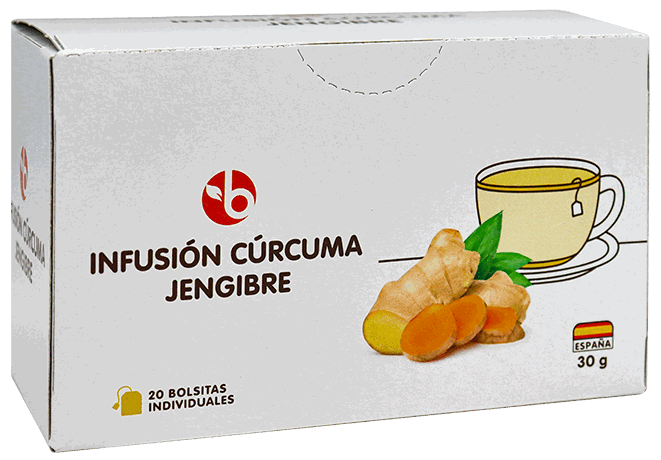 BRAVO TE CURCUMA JENGIBRE 24 GR 20/1