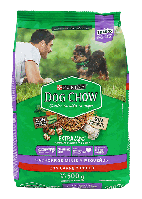PURINA DOG CHOW PUPPY 24x500 GR