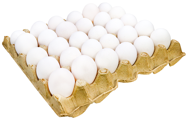 Huevos Blancos30 UND