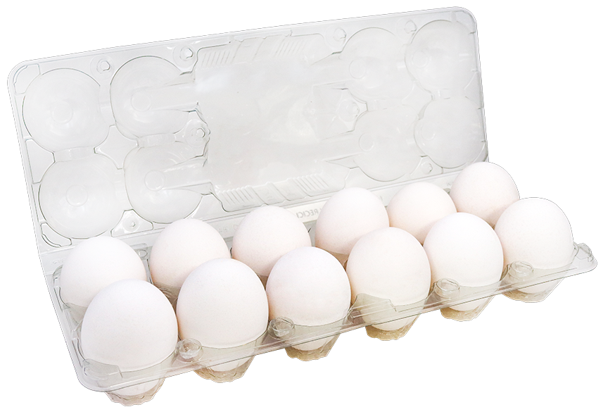 Huevos Blancos12 UND