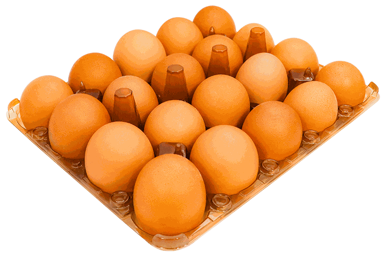 HUEVOS CRIOLLOS 20/1