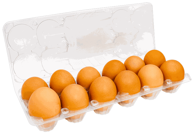 Huevos Criollos 12 UND