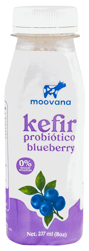 MOOVANA KEFIR BLUEBERRY 8 OZ