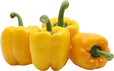 Aji Morron AmarilloLB