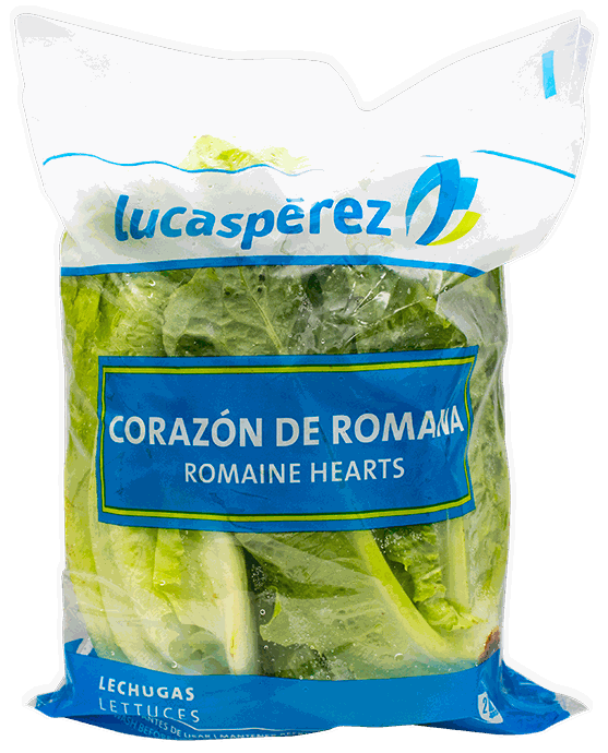 LECHUGA CORAZON DE ROMANA 3/1