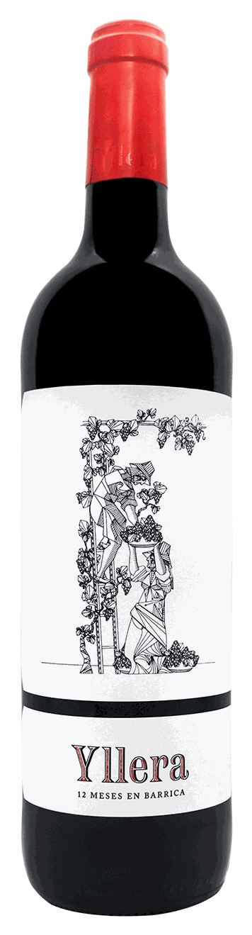 YLLERA VINO 12 MESES 75 CL