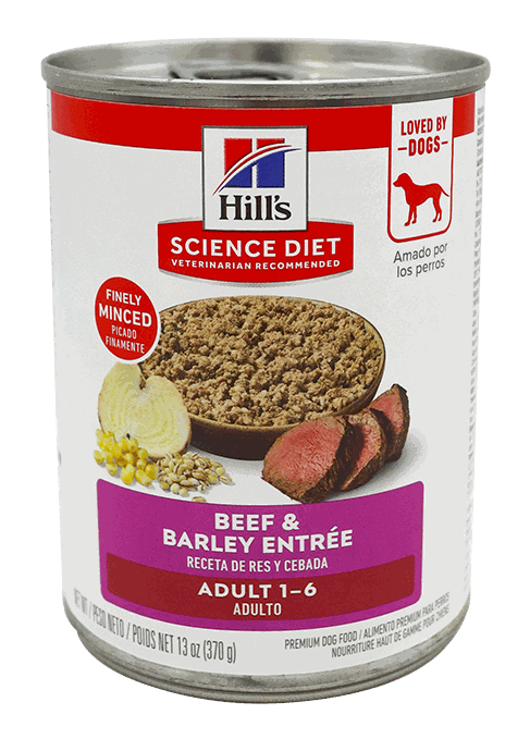 HILLS CANINE ADULT BEEF 13 OZ
