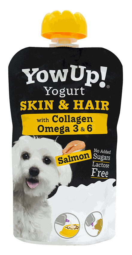 YOW UP YOGURT SKIN&HAIR SALM DOG 115G