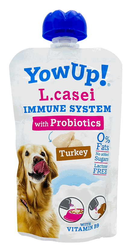 YOW UP YOGURT L. CASEY TURKEY DOG 115G
