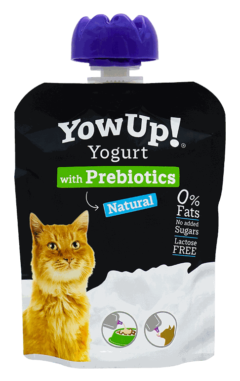 YOW UP YOGURT NATURAL CAT 85G
