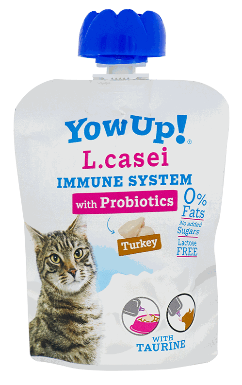YOW UP YOGURT L. CASEY TURKEY CAT 85G