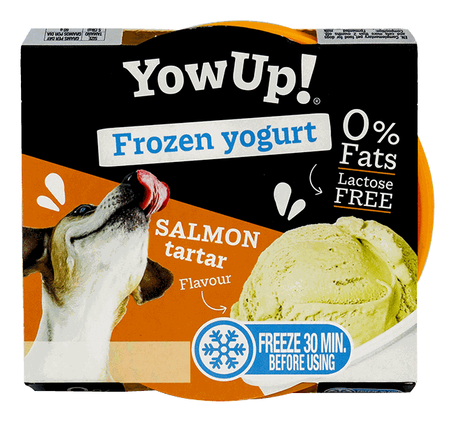 YOW UP FROZEN YOGURT SALMON DOG 110G
